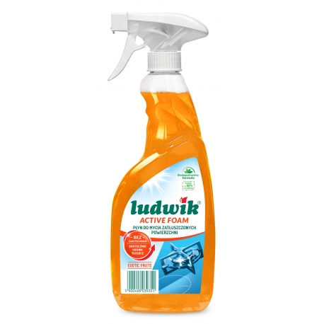 LUDWIK DO ZATŁUSZCZONYCH POWIERZCHNI 600ML