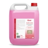 SWISH SANI CLEAN 5L