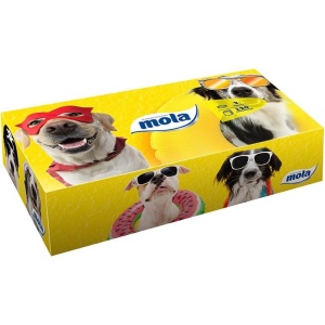 6b6aedff50be2de5596df65188922af9