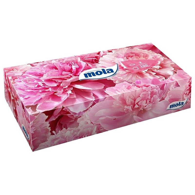 34555967c6c6aabfc3ebc1c45c78bddb